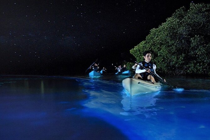 Bioluminescence Tour in Kayak in Holbox Island - Admission Ticket and Fitness Level