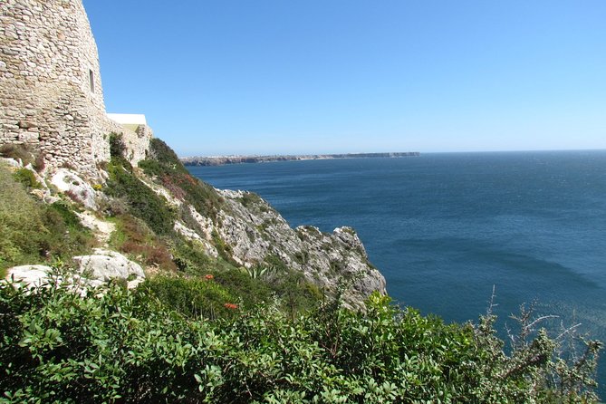 Birdwatching Day Around Sagres - Cancellation Policy