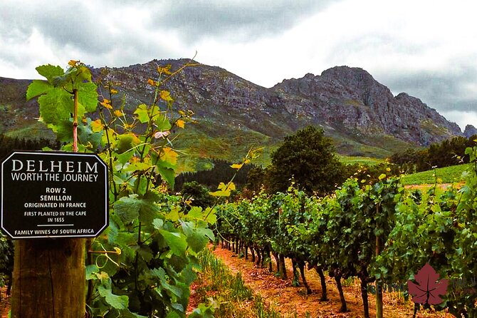 Blend and Bottle Your Own Wine Stellenbosch Experience - Traveler Information