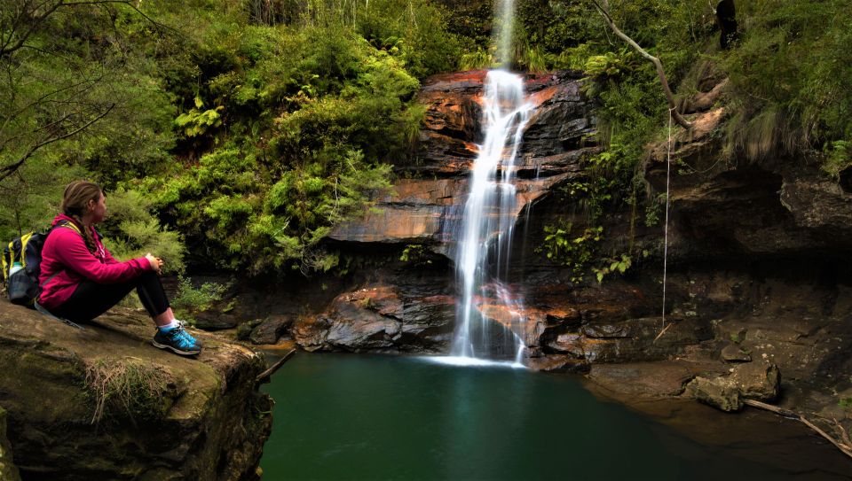 Blue Mountains Day, Sunset Tour & Glow Worms Night Adventure - Experience Highlights