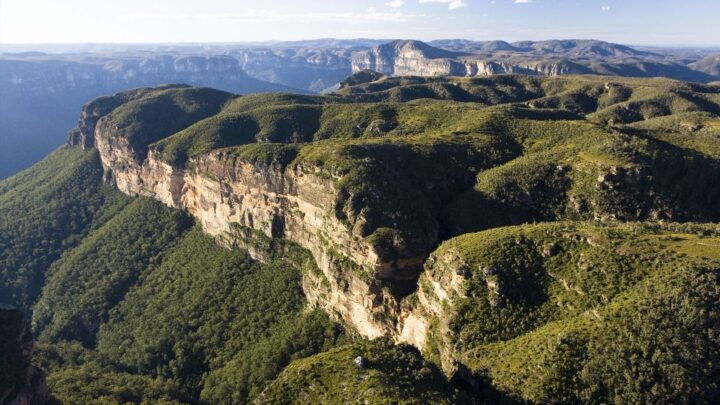 Blue Mountains: Wildlife Park & Bushwalks Day Tour - Pricing Details