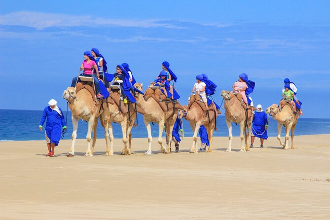 Boat Ride to the Arch and Beach Camel Ride in Cabo San Lucas Shared Tour - Customer Reviews Overview