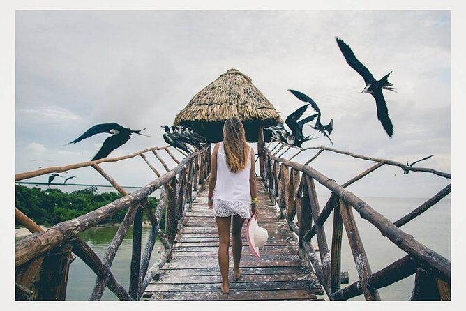 Boat Tour of Three Islands in Holbox With Transportation - Reviews and Ratings