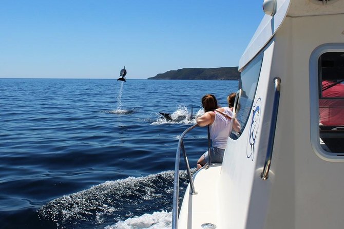 Boat Trip for Dolphin Watching Along the Arrabida Coast and Sesimbra - Accessibility Details