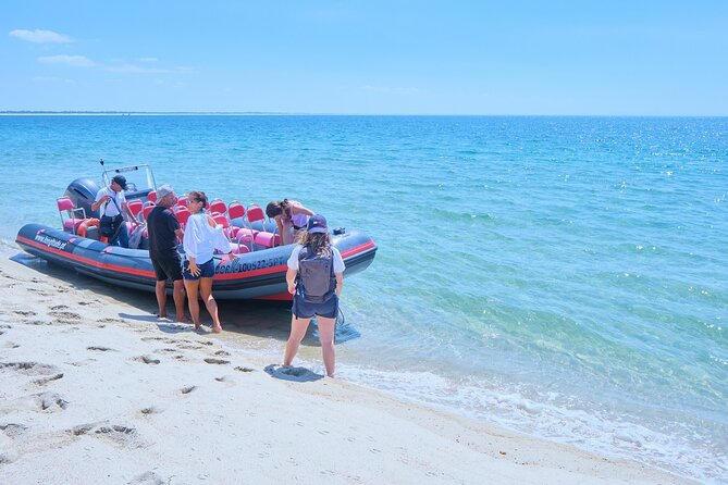 Boat Trip to Foz Do Sado, Troia and Arrábida, Setúbal - Booking Confirmation Details