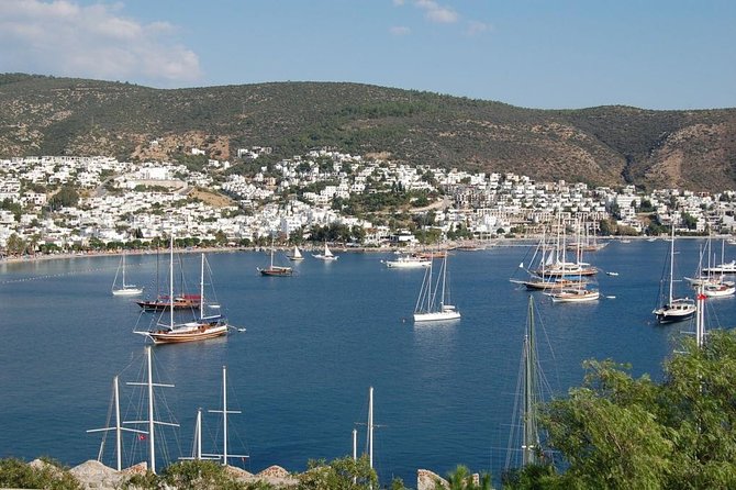 Bodrum Tour and Shore Excursions - Reviews and Ratings