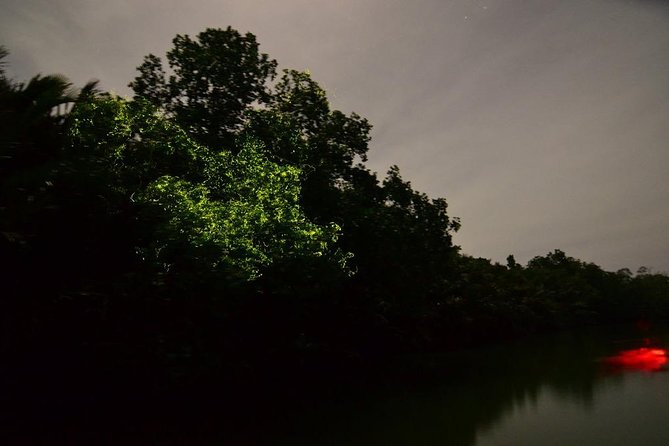 Bohol Firefly Watching (Private) - Cancellation Policy