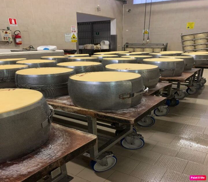 Bologna: Parmesan, Vinegar, Lambrusco, Lunch +Transfer - Tour Details