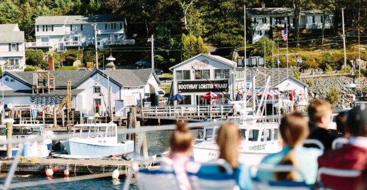 Boothbay Harbor Cruise: Lighthouses, Lobster Haul, and Seals - Experience Highlights