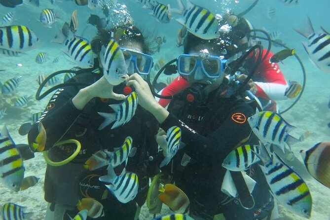 Boracay PADI Discover Scuba Diving - Meeting Point Details