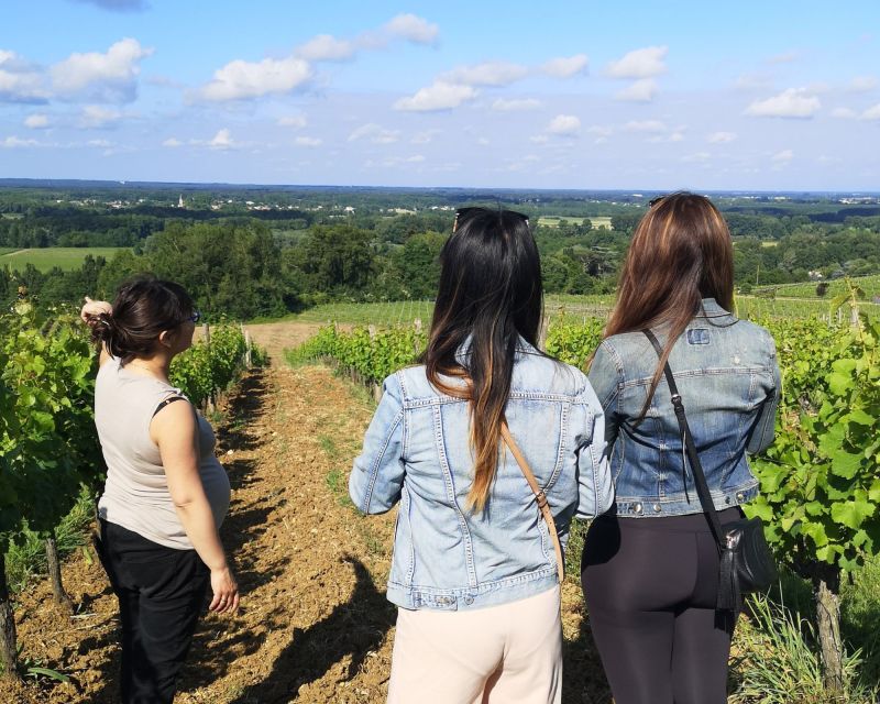 Bordeaux: Vineyard off the Beaten Track With Wine Tasting - Itinerary Details