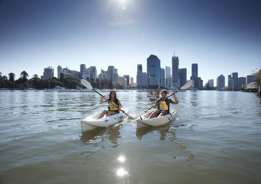 Brisbane: 2-Hour Kayak Hire on Brisbane River - Booking Information