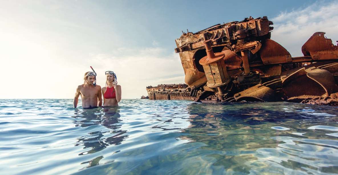 Brisbane: Tangalooma Snorkel the Wrecks Day Cruise Transfers - Inclusions