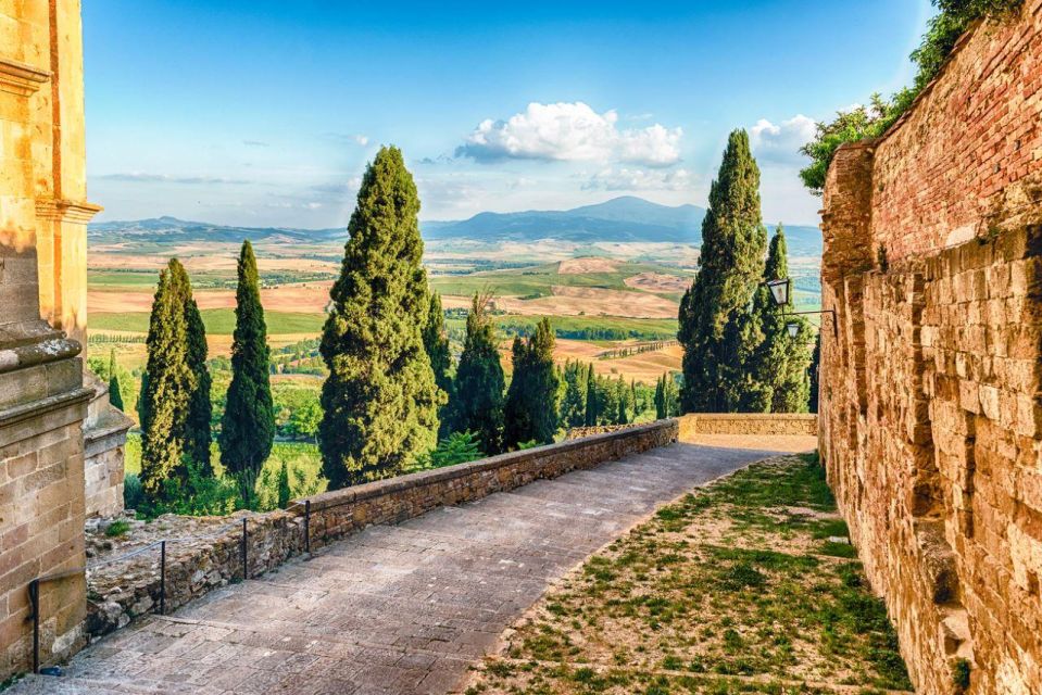 Brunello and Montepulciano Wine Tour - Private Experience - Activity Description