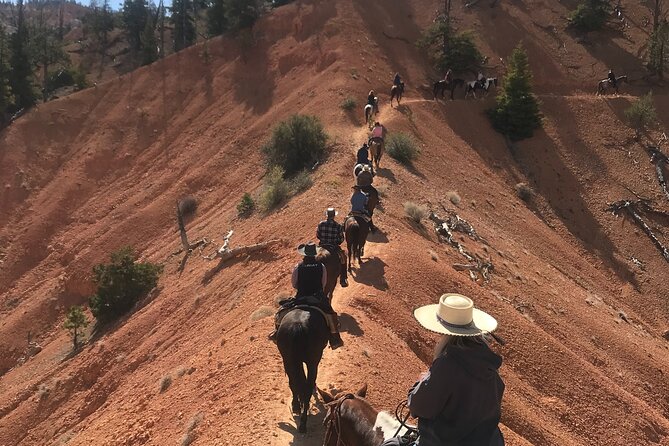 Bryce Canyon Area 4-Hour Small-Group Horseback Ride  - Bryce Canyon National Park - Safety Guidelines