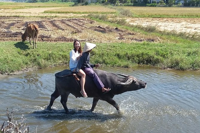 Buffalo Riding and Basket Boat Tour From Da Nang - Tour Activities and Experience