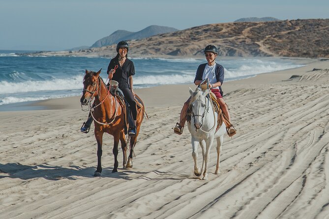 Cabo Horseback Riding on Pacific Beach and Desert - Cancellation Policy and Refunds