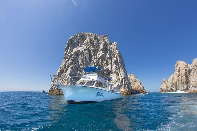 Cabo San Lucas Beginner Scuba Diving Experience - Professional Instruction and Guidance