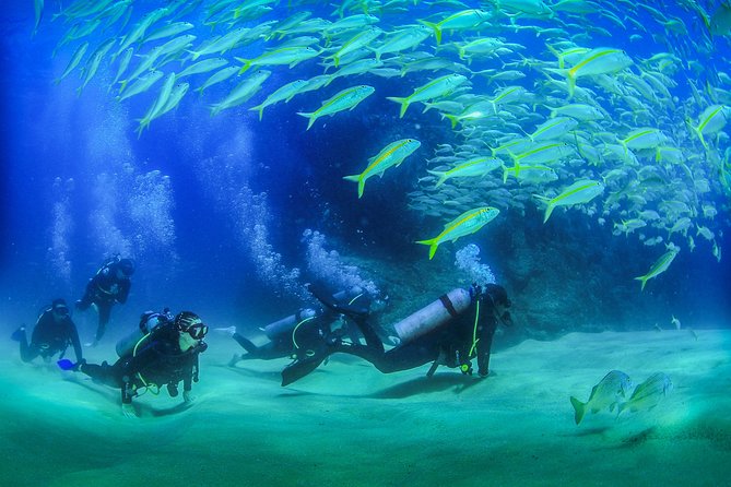 Cabo San Lucas Certified 2 Tank Dive at the Famous Arch and Lands End - Diving Experience Highlights