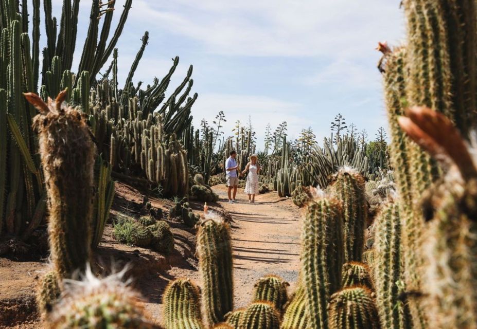 Cactus Country: Entry Ticket - Experience Highlights and Inclusions
