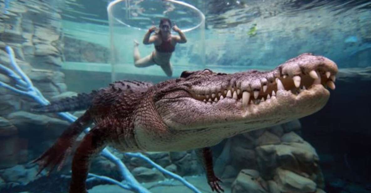 Cage Of Death Crocodile Swim and Entry to Crocosaurus Cove - Ticket Details
