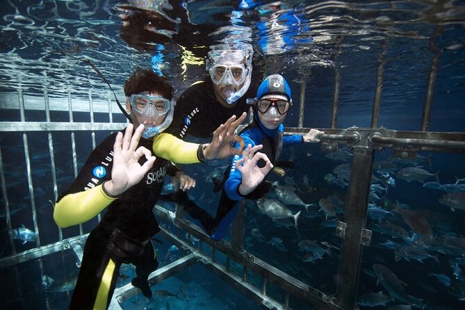Cage Snorkeling Dubai Mall Aquarium - Experience Highlights
