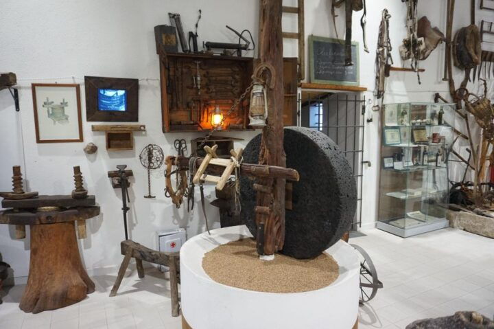 Cagliari: Exclusive Extra Virgin Olive Oil Tour at Museum - Pricing and Duration