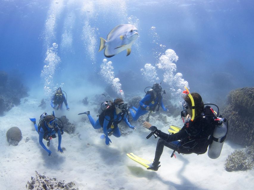 Cairns: 4-Day PADI Open Water Course - Activity Details