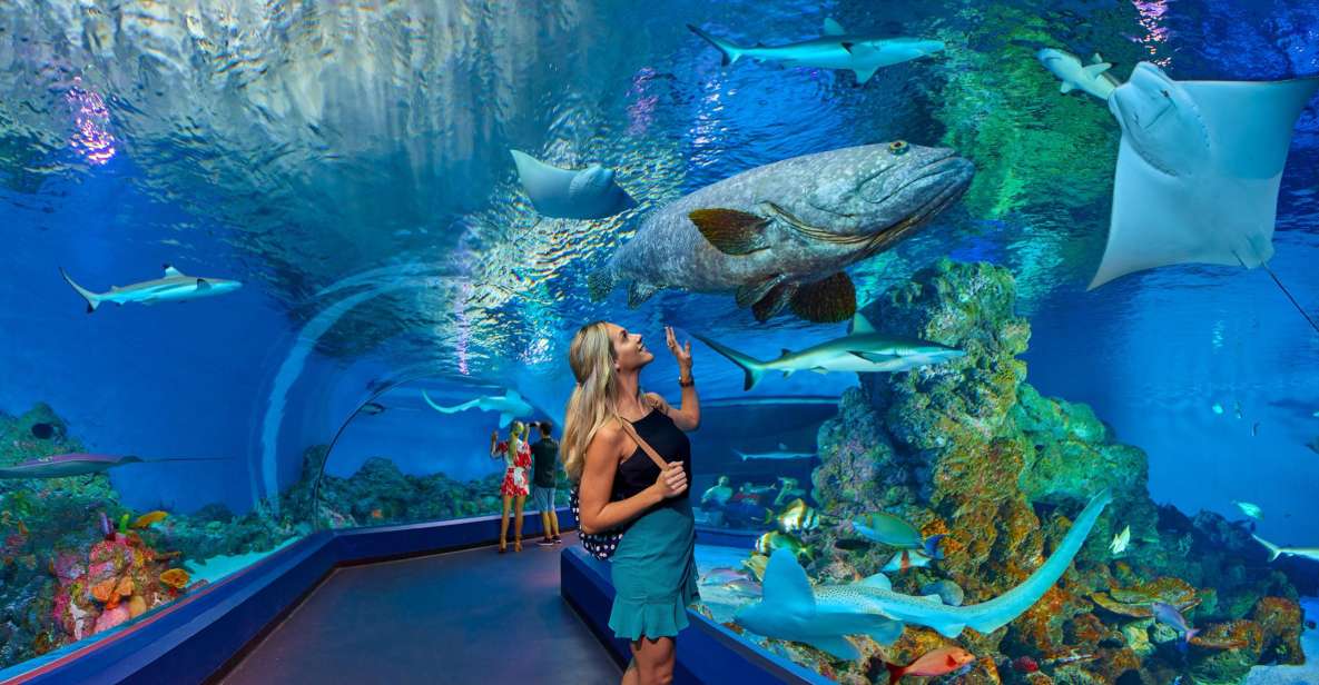 Cairns Aquarium Turtle Hospital and City Sightseeing Tour - Booking Information