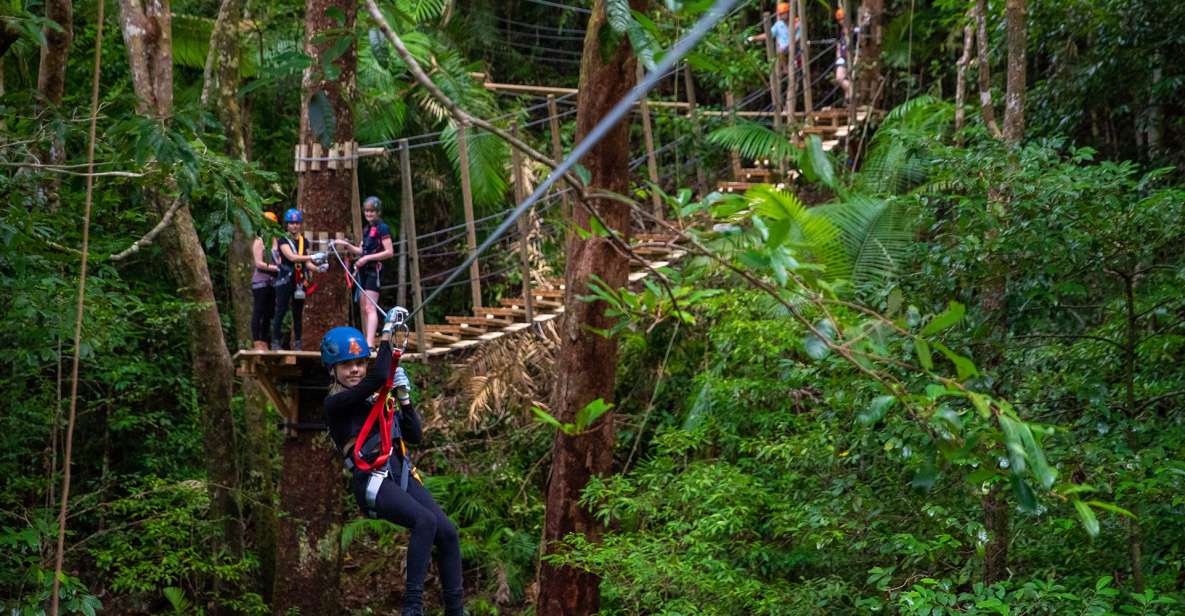 Cairns: Daintree Rainforest Canopy Ziplining Tour - Highlights