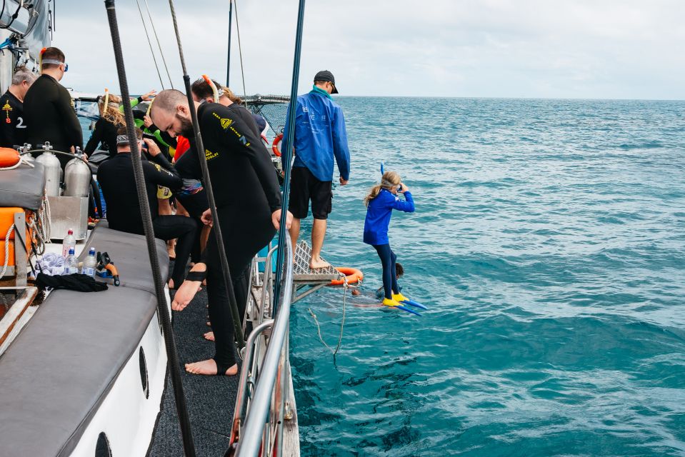 Cairns: Green Island & Great Barrier Reef Sailing Tour - Highlights