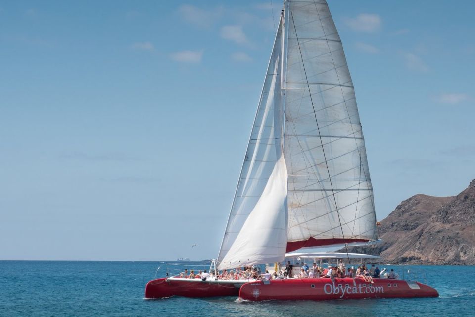 Caleta De Fuste: Catamaran Sailing Experience - Experience Highlights