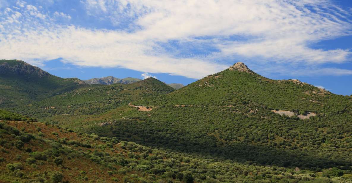 Calvi: Asco Valley 4x4 Day Tour With Guide - Experience Highlights