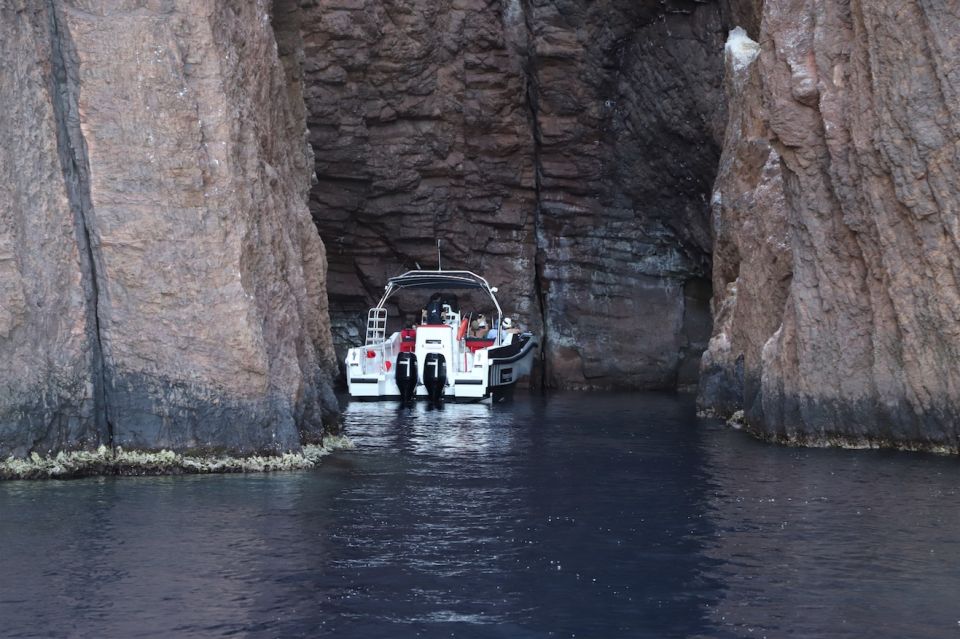 Calvi to Scandola: 4-Hour Boat Tour - Booking Information