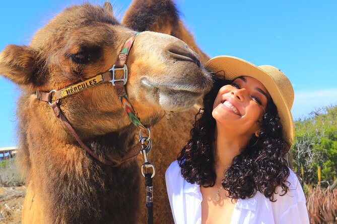 Camel Ride and UTV Combo Adventure, With Tequila Tasting - What To Expect
