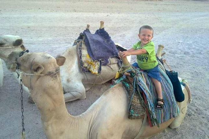Camel Ride & Bedouin Dinner Quad Safari in Sharm El Sheikh - Inclusions and Exclusions