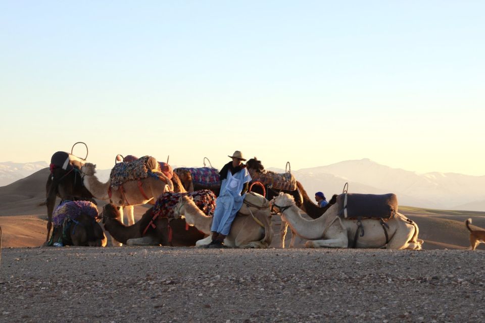 Camel Ride in Agafay Desert at Sunset - Experience Highlights