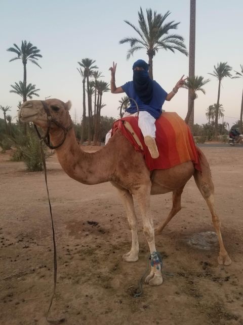 Camel Ride Tour in Palmerie of Marrakech - Cultural Experience