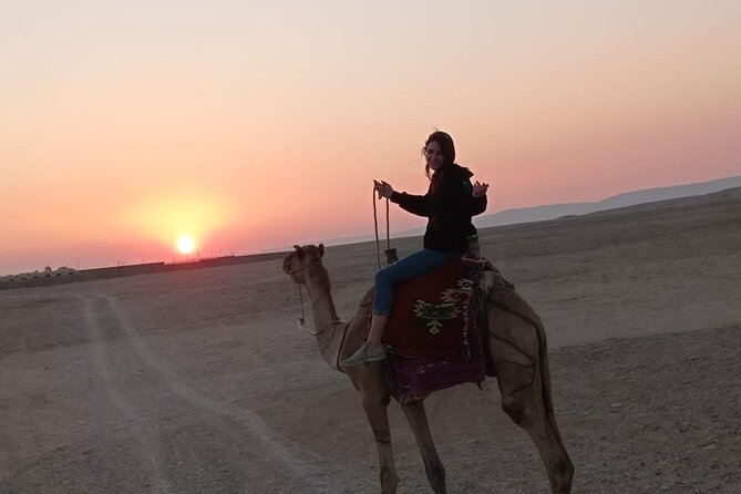 Camel Riding Tour in Luxor West Bank - Cancellation Policy