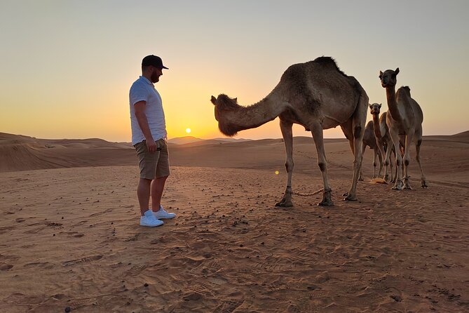 Camel Rock Morning Desert Safari - Meeting and Pickup Information