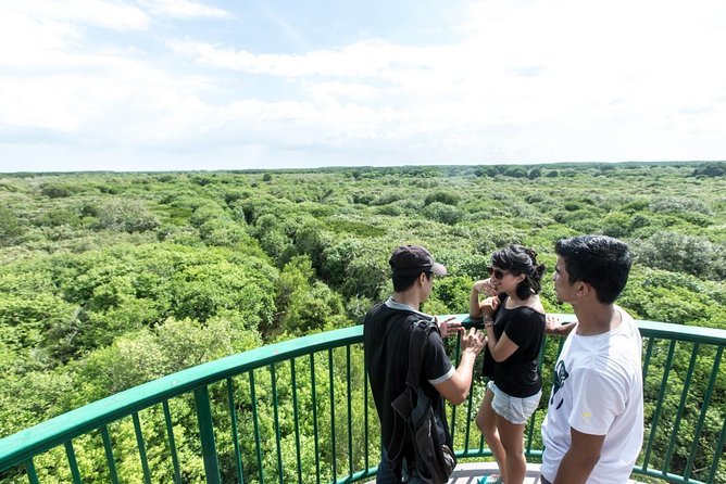 Can Gio Mangrove Forest Biosphere Private Tour  - Ho Chi Minh City - Pickup and Mobile Ticket Information