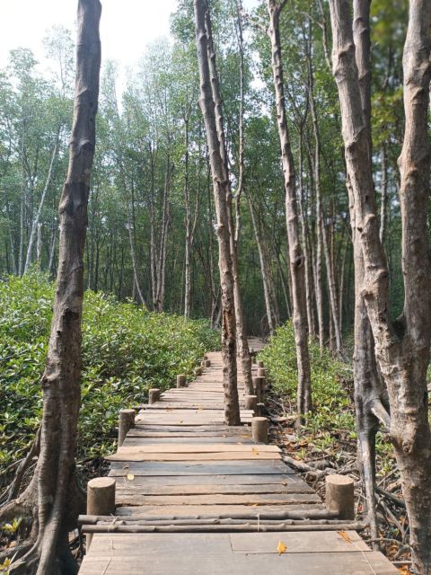 Can Gio Mangrove Forest Private Day Trip From Ho Chi Minh - Location and Meeting Point