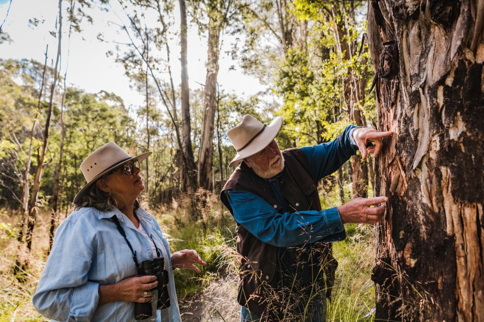 Canberra: Best of Wildlife Tour - Experience Description