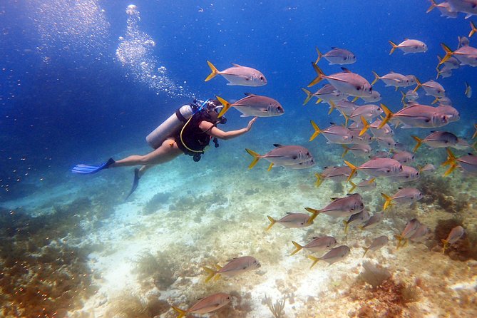 Cancun Beginners Scuba: Two Tanks, Two Dives, No Dock Fees - Meeting and Pickup Information