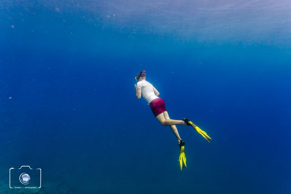 Candelaria: Free Diving and Snorkeling Experience - Provider and Duration