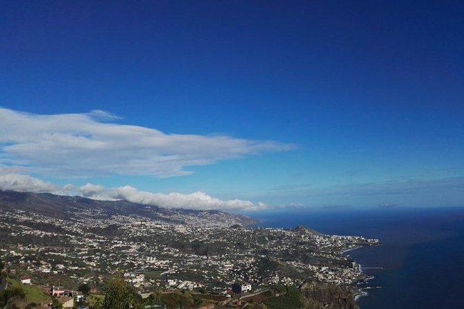 Canico Small-Group Western Madeira Tour - Traveler Feedback Summary