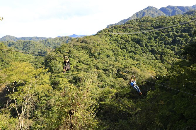 Canopy River Zipline Tour and Mule Ride - Booking Information