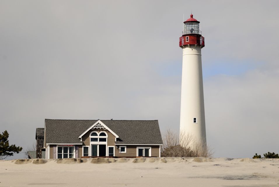 Cape May: 2-Hour Dolphin Watching Cruise - Experience Highlights