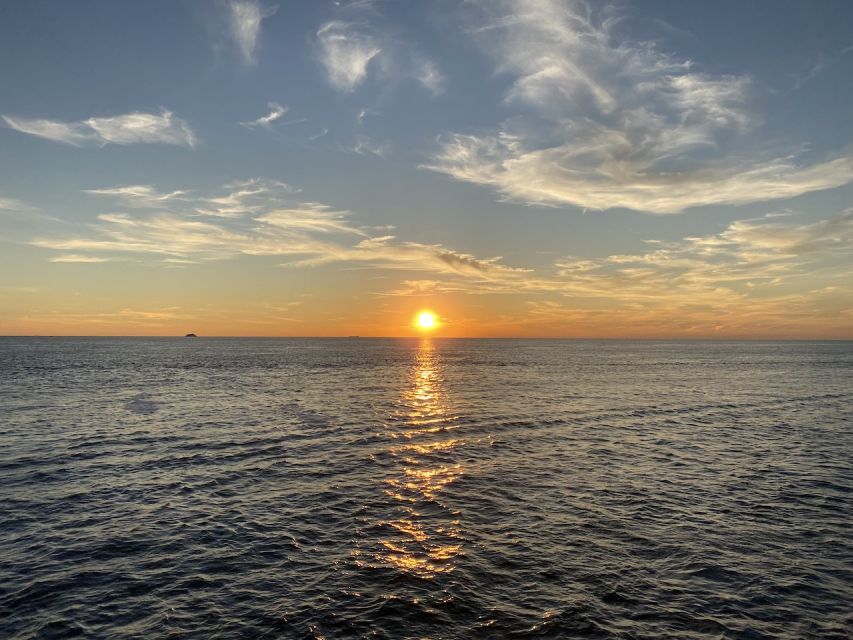 Cape May: Sunset Dolphin Watching Cruise With Food - Experience Highlights