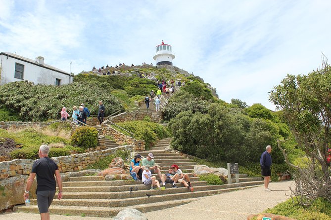 Cape of Good Hope Penguins From Cape Town Private Price/Group Up To 12Pax F/D - Cancellation Policy Overview